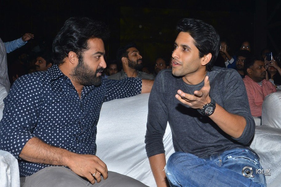 Mr-Majnu-Movie-Pre-Release-Event-Photos